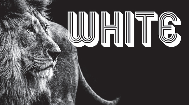 The words Striking Silver on an abstract blue background pattern.